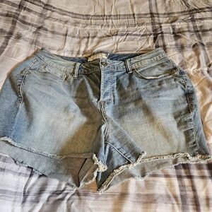 Denim Blue Women's Shorts  Light Wash Torrid 12